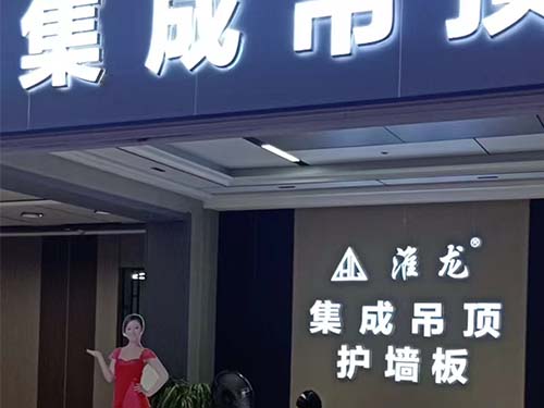 250T快速真空硫化成型機
